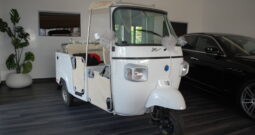 Piaggio Ape Calessino 200cc Unico Proprietario