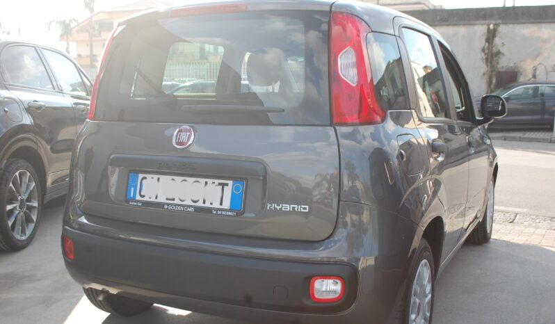 Fiat Panda 1.0 firefly 70CV hybrid S&S Uff Italy Clima USB pieno